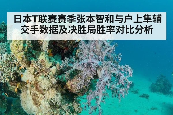 日本T联赛赛季张本智和与户上隼辅交手数据及决胜局胜率对比分析